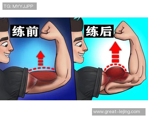 提升臂力的双手哑铃弯举教学视频助你塑造完美肌肉线条